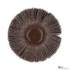 nortonschleifmittel/NORTON_schleifmittel_69957360914 Spindle Flap Wheels Norton-BDX-8x50x6mm SK_C_40_150555